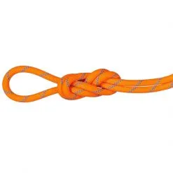 Mammut 8.7 Alpine Sender Dry Rope Corda Arrampicata -negozio di attrezzature per il fitness 2010 04190 11285 main