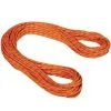 Mammut 9.0 Alpine Sender Dry Rope Corda Arrampicata -negozio di attrezzature per il fitness 2010 04200 11237 main min 2