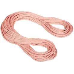 Mammut 9.9 Gym Workhorse Classic Rope Corda Arrampicata -negozio di attrezzature per il fitness 2010 04310 01243 main 160248