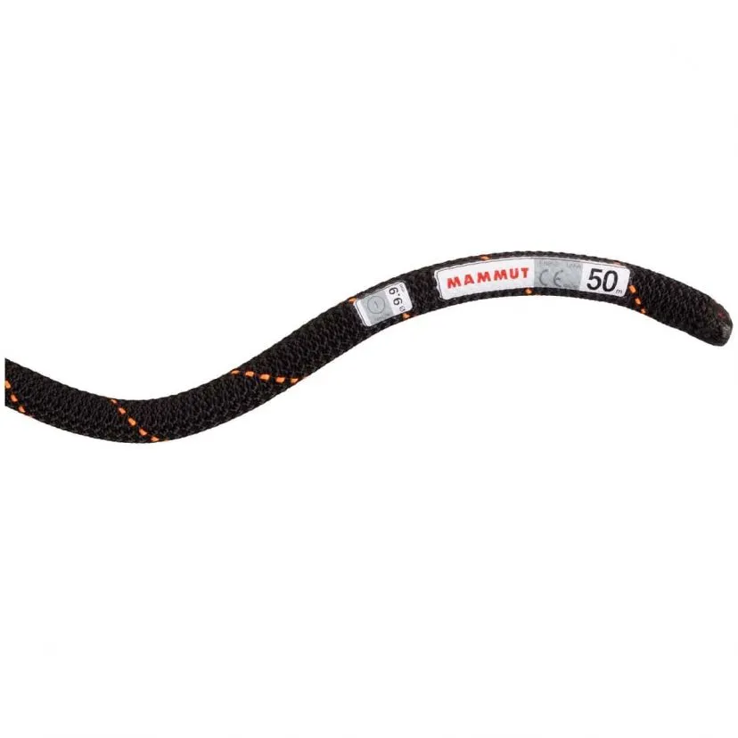 Mammut 9.9 Gym Workhorse Dry Rope Corda Arrampicata 4 Mammut 9.9 Gym Workhorse Dry Rope Corda Arrampicata - immagine 2