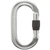 BD Black Diamond Oval Keylock Screwgate Moschettone A Ghiera Arrampicata -negozio di attrezzature per il fitness 210084 pols polished ovalscrewgate frnt 1