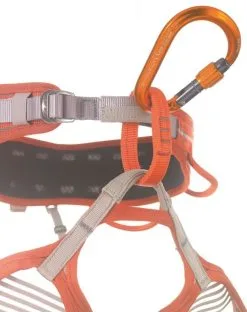 CAMP Core Lock Moschettone A Ghiera Arrampicata -negozio di attrezzature per il fitness 2280 5 2925 e min