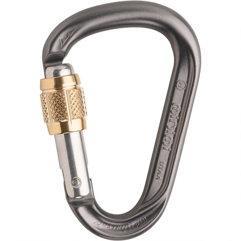 AustriAlpin HMS Mini.Mi Moschettone Con Ghiera In Ottone 4 AustriAlpin HMS Mini.Mi Moschettone Con Ghiera In Ottone - immagine 2