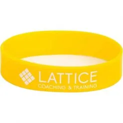 Lattice Training Extensor Bands Bande Per Le Dita 9 Lattice Training Extensor Bands Bande Per Le Dita -negozio di attrezzature per il fitness extensor bands hq 7 scaled 1
