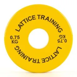 Lattice Training Fractional Weight Plates Piastre Di Peso -negozio di attrezzature per il fitness fractional weight plates 3