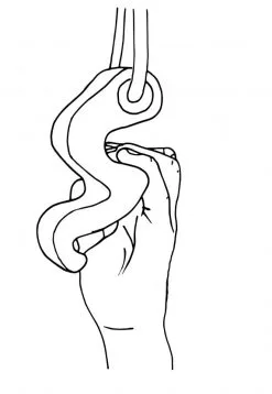 Max Climbing Maxgrip Hybrid Prese Arrampicata Portatili -negozio di attrezzature per il fitness max climbing maxgrips posizione3 3